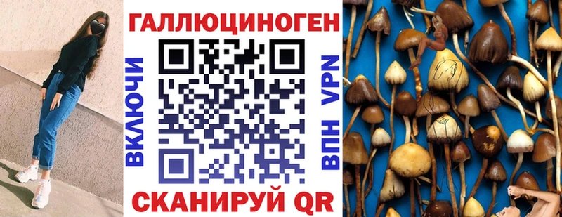 Псилоцибиновые грибы Magic Shrooms Курильск